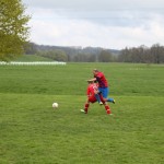 steu-vfa_2